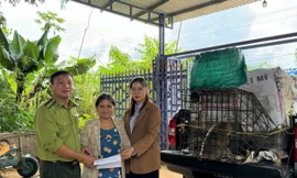 Người dân viết đơn tự nguyện giao nộp động vật rừng cho nhà nước