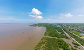 Khu rừng đặc dụng tại ba xã ven biển Nam Phú, Nam Hưng và Nam Thịnh, huyện Tiền Hải, tỉnh Thái Bình, còn gọi là khu Bảo tồn thiên nhiên đất ngập nước Tiền Hải.