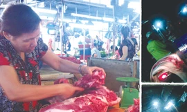 Chợ trộn heo bệnh, heo lành