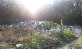 Những sự thật không hào nhoáng đằng sau điệu nhảy 'Gangnam Style'