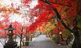 Mùa thu đẹp mê hồn ở những danh lam nổi tiếng nhất thế giới