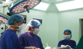 Niềm tin ở nơi bao “con tim đã vui trở lại’