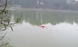 Giữa hồ, nam thanh niên đang tự đâm vào người mình.