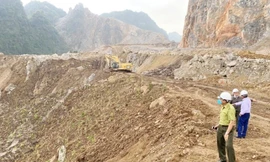 Hiện trường vụ tàn phá rừng.