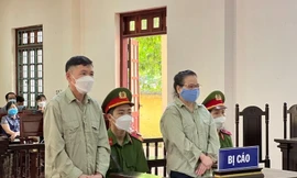 Vợ chồng Yến, Anh tại toà.