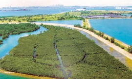 Đảo rác nổi Semakau trở thành khu bảo tồn thiên nhiên và du lịch 