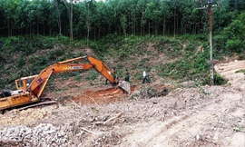 Xe múc, xe đào đang “tác nghiệp” không phép dưới đường dây thông tin tín hiệu của ngành đường sắt.