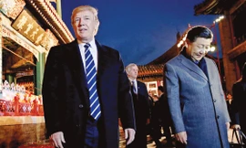 Tổng thống Mỹ Donald Trump và Chủ tịch Trung Quốc Tập Cận Bình ở Bắc Kinh hồi tháng 11/2017 Ảnh: Getty Images 