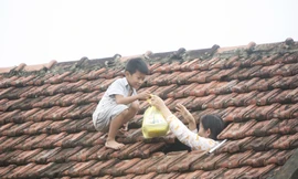 Một em bé ở Lệ Thuỷ, Quảng Bình xin được đồ cứu trợ mang về cho mẹ Ảnh: Trọng Tài 