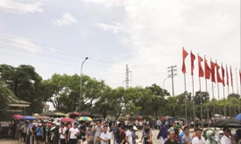 Người hâm mộ xếp hàng chờ mua vé Ảnh: VFF 