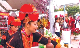 Cô gái tiên phong trồng rừng thông giữ đất, làm kinh tế 