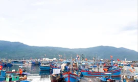 Tàu thuyền neo đậu, trú tránh bão tại âu thuyền Thọ Quang (Đà Nẵng) Ảnh: Nguyễn Thành 
