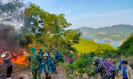Lực lượng chống cháy rừng được huy động dập lửa
