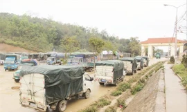 Xe hàng tinh bột sắn gặp khó xuất khẩu sang Trung Quốc