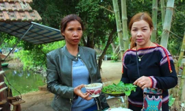 Kiến vàng được người Ê Đê chế biến thành nhiều món hấp dẫn 