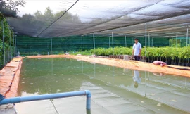 Ao nước dã chiến với sức chứa 70m3 của ông Oanh Ảnh: Kim Hà 