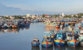 Đội tàu đông đúc neo đậu ở cảng cá thị xã La Gi Ảnh: Văn Minh 