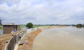 Một đoạn đê bê tông - Ảnh: Trường Phong 