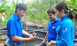 Bí thư Chi đoàn Võ Văn Út Em giới thiệu kỹ thuật nuôi ếch Ảnh: Hòa hội 