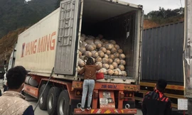 Hàng và người sang Trung Quốc được kiểm soát chặt chẽ