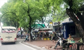 Xe khách vi phạm trên đường Kim Đồng dịp 2/9/2019 dù bên trên có hệ thống camera xử phạt và vỉa hè có trật tự phường ngồi làm nhiệm vụ. Ảnh: A.Trọng 