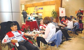 Hàng nghìn cán bộ, công nhân viên ngành điện tham gia hiến máu cứu người
