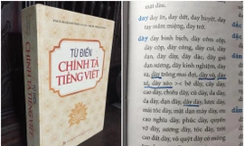 Cuốn từ điển chi chít lỗi chính tả của NXB Đại học Quốc gia Hà Nội Ảnh: HOÀNG TUẤN CÔNG 