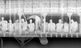 Vụ 39 người chết trong container ở Anh: Ám ảnh hành trình cược mạng đến trời Âu