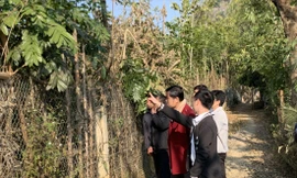 Khu đất quy hoạch của ĐH Tây Bắc và đất quy hoạch nghĩa trang của thành phố Sơn La chỉ cách nhau 1 con ngõ nhỏ. Ảnh: Nghiêm Huê 