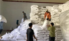 Từ 2021, các nhà thầu bỏ ký hợp đồng sẽ khó tham gia đấu thầu tiếp. Ảnh minh họa 