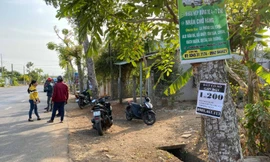 Lạ kỳ sốt đất ở Bình Ba