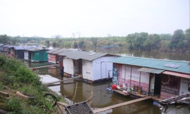 Khu nhà nổi ở bãi giữa sông Hồng. Ảnh: Duy Phạm 