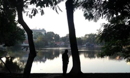 Một người đi vệ sinh bừa bãi tại một công viên 