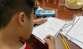 Học sinh lớp 1 học trực tuyến khó đạt hiệu quả