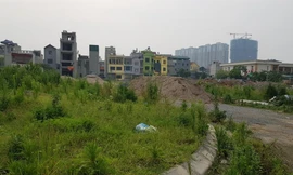 Một khu dự án đất dịch vụ tại xã An Khánh, huyện Hoài Đức 