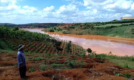 Hồ thải quặng chỉ còn bùn, cây trồng của dân thiếu nước tưới.