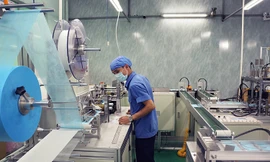 Ông Võ Trí Thành cho rằng Việt Nam cần đặt mục tiêu phát triển DN nội địa lên hàng đầu