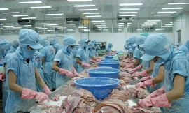 Nông sản, thủy sản sẽ được hưởng lợi lớn từ EVFTA. Ảnh: Châu Anh 