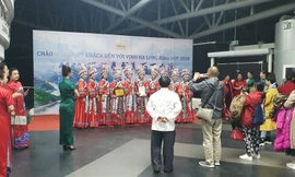 Chương trình bị dừng vì có dấu hiệu vi phạm