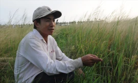 Anh Dương Văn Thanh Vũ (ở xã Tân Thành, huyện Gò Công Đông, Tiền Giang) bên ruộng lúa xem như đã mất trắng do thiếu nước. Ảnh: CẢNH KỲ