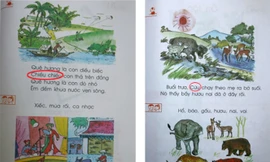 'Sạn' trong SGK Tiếng Việt 1: Hội đồng thẩm định ở đâu?