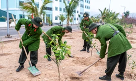 Tuổi trẻ công an nhân dân tham gia trồng cây bảo vệ môi trường