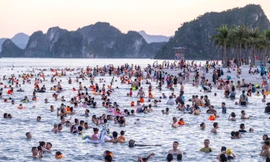 Nguy cơ mất an toàn ở bãi tắm Hạ Long 