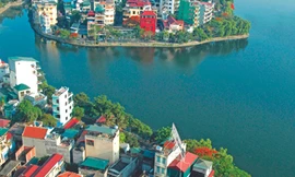 Chủ tịch nước có quyền tạm đình chỉ Phó Thủ tướng?