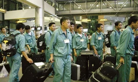Hàn Quốc ngừng tuyển lao động Việt Nam