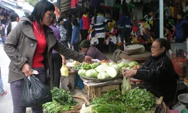 Chỉ qua vài ngày rét đậm, giá rau xanh tại chợ Mễ Trì Thượng (Từ Liêm, Hà Nội) đã tăng từ 30-50%