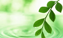 Hiểu rõ về cái đầu, không để cảm xúc dẫn dắt