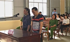 Luật sư vắng, nữ nhà báo 'vòi' tiền doanh nghiệp để gỡ bài xin hoãn xử