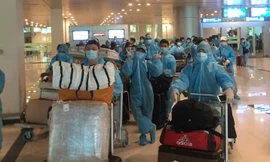 Cần Thơ đón chuyến bay đưa 309 người Việt từ Singapore về nước