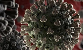 Tung tin bản thân bị nhiễm Covid-19 vì sợ bị đòi nợ